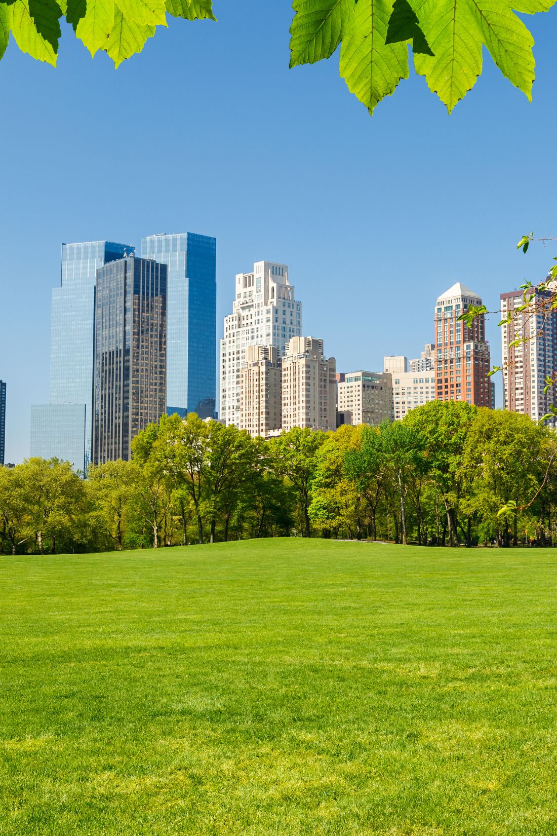 Central Park