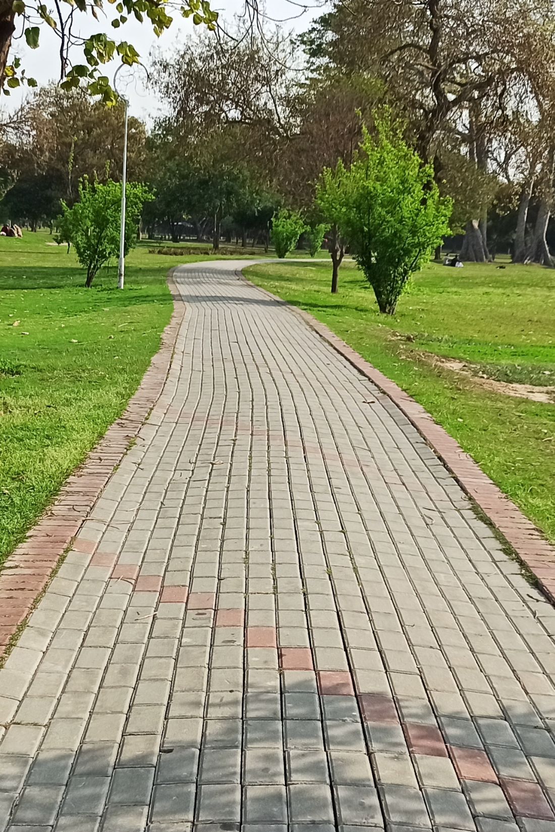 Jogging Track