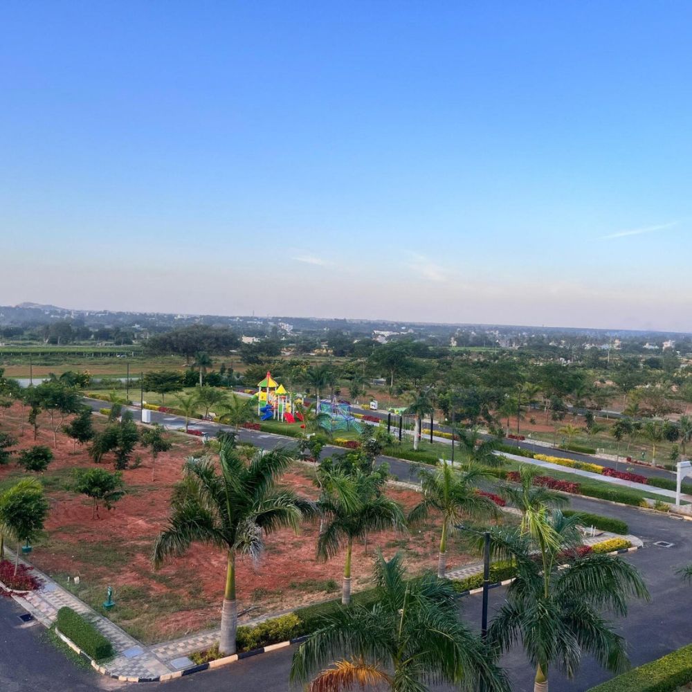 beverly hills phase 1